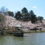 【観光】大宮公園