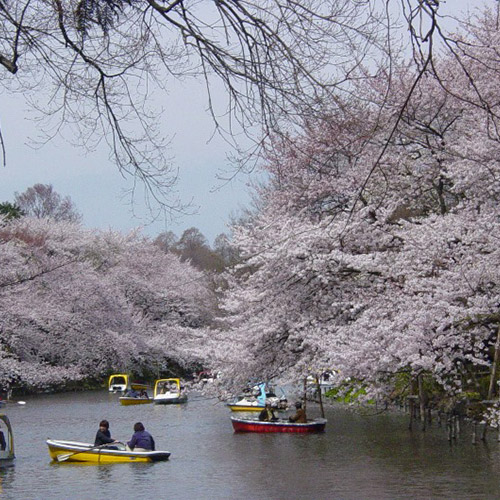 井之头恩赐公园