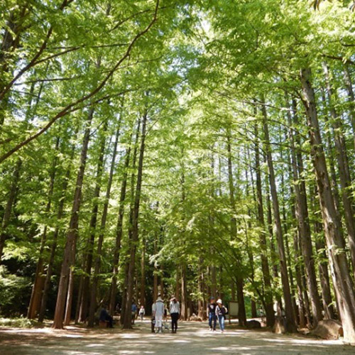 生田緑地公園
