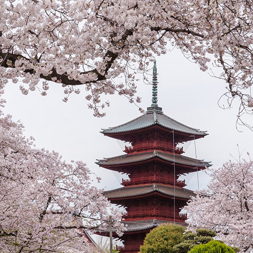 池上本門寺