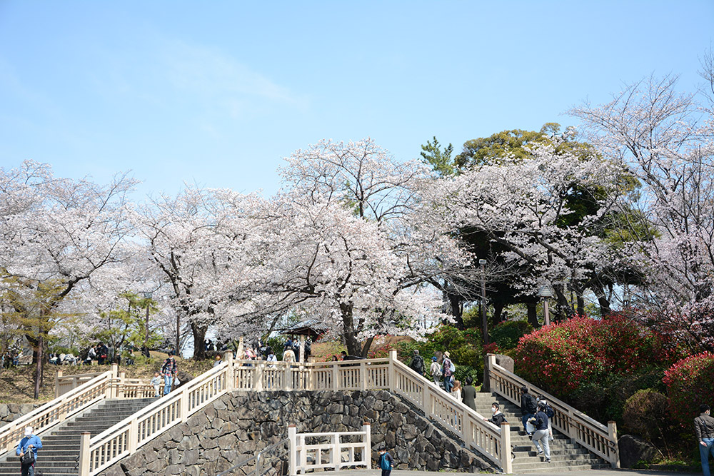 飛鳥山公園