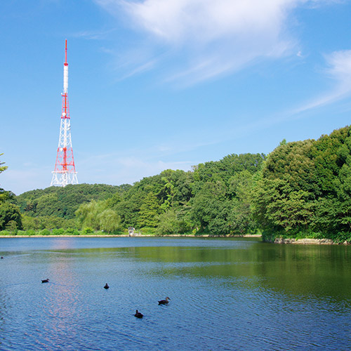 県立三ツ池公園